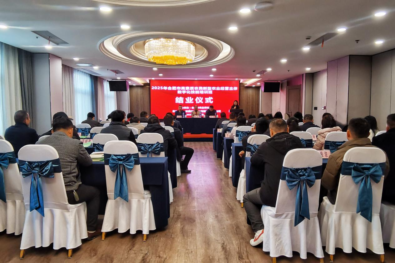 1763965098161799.png 图片1.png